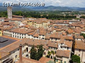 [P14] Am vizitat Lucca » foto by IoanaV
 - 
<span class="allrVoted glyphicon glyphicon-heart hidden" id="av885980"></span>
<a class="m-l-10 hidden" id="sv885980" onclick="voting_Foto_DelVot(,885980,22406)" role="button">șterge vot <span class="glyphicon glyphicon-remove"></span></a>
<a id="v9885980" class=" c-red"  onclick="voting_Foto_SetVot(885980)" role="button"><span class="glyphicon glyphicon-heart-empty"></span> <b>LIKE</b> = Votează poza</a> <img class="hidden"  id="f885980W9" src="/imagini/loader.gif" border="0" /><span class="AjErrMes hidden" id="e885980ErM"></span>