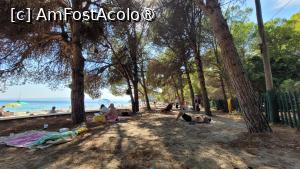 [P03] La umbra pinilor din plaja Koukounaries, Skiathos » foto by vlado2
 - 
<span class="allrVoted glyphicon glyphicon-heart hidden" id="av1522077"></span>
<a class="m-l-10 hidden" id="sv1522077" onclick="voting_Foto_DelVot(,1522077,22413)" role="button">șterge vot <span class="glyphicon glyphicon-remove"></span></a>
<a id="v91522077" class=" c-red"  onclick="voting_Foto_SetVot(1522077)" role="button"><span class="glyphicon glyphicon-heart-empty"></span> <b>LIKE</b> = Votează poza</a> <img class="hidden"  id="f1522077W9" src="/imagini/loader.gif" border="0" /><span class="AjErrMes hidden" id="e1522077ErM"></span>