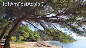 [P01] Plaja Banana Mare, Skiathos » foto by vlado2
 - 
<span class="allrVoted glyphicon glyphicon-heart hidden" id="av1523188"></span>
<a class="m-l-10 hidden" id="sv1523188" onclick="voting_Foto_DelVot(,1523188,22413)" role="button">șterge vot <span class="glyphicon glyphicon-remove"></span></a>
<a id="v91523188" class=" c-red"  onclick="voting_Foto_SetVot(1523188)" role="button"><span class="glyphicon glyphicon-heart-empty"></span> <b>LIKE</b> = Votează poza</a> <img class="hidden"  id="f1523188W9" src="/imagini/loader.gif" border="0" /><span class="AjErrMes hidden" id="e1523188ErM"></span>