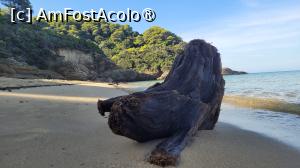 [P11] Plaja Banana Mare, Skiathos » foto by vlado2
 - 
<span class="allrVoted glyphicon glyphicon-heart hidden" id="av1523198"></span>
<a class="m-l-10 hidden" id="sv1523198" onclick="voting_Foto_DelVot(,1523198,22413)" role="button">șterge vot <span class="glyphicon glyphicon-remove"></span></a>
<a id="v91523198" class=" c-red"  onclick="voting_Foto_SetVot(1523198)" role="button"><span class="glyphicon glyphicon-heart-empty"></span> <b>LIKE</b> = Votează poza</a> <img class="hidden"  id="f1523198W9" src="/imagini/loader.gif" border="0" /><span class="AjErrMes hidden" id="e1523198ErM"></span>