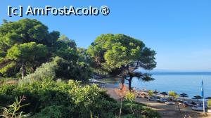 [P13] Plaja Banana Mare, Skiathos » foto by vlado2
 - 
<span class="allrVoted glyphicon glyphicon-heart hidden" id="av1523200"></span>
<a class="m-l-10 hidden" id="sv1523200" onclick="voting_Foto_DelVot(,1523200,22413)" role="button">șterge vot <span class="glyphicon glyphicon-remove"></span></a>
<a id="v91523200" class=" c-red"  onclick="voting_Foto_SetVot(1523200)" role="button"><span class="glyphicon glyphicon-heart-empty"></span> <b>LIKE</b> = Votează poza</a> <img class="hidden"  id="f1523200W9" src="/imagini/loader.gif" border="0" /><span class="AjErrMes hidden" id="e1523200ErM"></span>