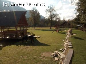 [P07] curte amenajata cu iaz si umbrar lacustru,balansoar ,ponei si Misu(magarul) » foto by ile57b
 - 
<span class="allrVoted glyphicon glyphicon-heart hidden" id="av1292124"></span>
<a class="m-l-10 hidden" id="sv1292124" onclick="voting_Foto_DelVot(,1292124,22419)" role="button">șterge vot <span class="glyphicon glyphicon-remove"></span></a>
<a id="v91292124" class=" c-red"  onclick="voting_Foto_SetVot(1292124)" role="button"><span class="glyphicon glyphicon-heart-empty"></span> <b>LIKE</b> = Votează poza</a> <img class="hidden"  id="f1292124W9" src="/imagini/loader.gif" border="0" /><span class="AjErrMes hidden" id="e1292124ErM"></span>
