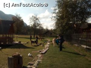[P09] S a aglomerat salonul! Au aparut: Rica -Iepurica,gainuse si turisti ! » foto by ile57b
 - 
<span class="allrVoted glyphicon glyphicon-heart hidden" id="av1292126"></span>
<a class="m-l-10 hidden" id="sv1292126" onclick="voting_Foto_DelVot(,1292126,22419)" role="button">șterge vot <span class="glyphicon glyphicon-remove"></span></a>
<a id="v91292126" class=" c-red"  onclick="voting_Foto_SetVot(1292126)" role="button"><span class="glyphicon glyphicon-heart-empty"></span> <b>LIKE</b> = Votează poza</a> <img class="hidden"  id="f1292126W9" src="/imagini/loader.gif" border="0" /><span class="AjErrMes hidden" id="e1292126ErM"></span>