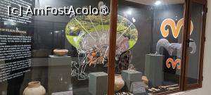 [P06] Vitrină tematică. » foto by tata123 🔱
 - 
<span class="allrVoted glyphicon glyphicon-heart hidden" id="av1525602"></span>
<a class="m-l-10 hidden" id="sv1525602" onclick="voting_Foto_DelVot(,1525602,22428)" role="button">șterge vot <span class="glyphicon glyphicon-remove"></span></a>
<a id="v91525602" class=" c-red"  onclick="voting_Foto_SetVot(1525602)" role="button"><span class="glyphicon glyphicon-heart-empty"></span> <b>LIKE</b> = Votează poza</a> <img class="hidden"  id="f1525602W9" src="/imagini/loader.gif" border="0" /><span class="AjErrMes hidden" id="e1525602ErM"></span>