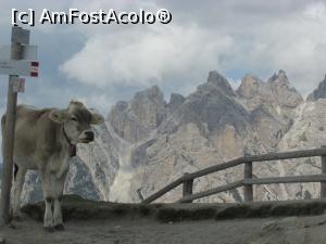 [P16] La 2300m, vacute de altitudine! :)  » foto by Testosu'
 - 
<span class="allrVoted glyphicon glyphicon-heart hidden" id="av1123910"></span>
<a class="m-l-10 hidden" id="sv1123910" onclick="voting_Foto_DelVot(,1123910,22492)" role="button">șterge vot <span class="glyphicon glyphicon-remove"></span></a>
<a id="v91123910" class=" c-red"  onclick="voting_Foto_SetVot(1123910)" role="button"><span class="glyphicon glyphicon-heart-empty"></span> <b>LIKE</b> = Votează poza</a> <img class="hidden"  id="f1123910W9" src="/imagini/loader.gif" border="0" /><span class="AjErrMes hidden" id="e1123910ErM"></span>