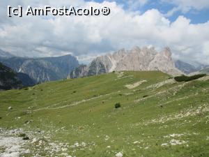 [P06] Vacute!  » foto by Testosu'
 - 
<span class="allrVoted glyphicon glyphicon-heart hidden" id="av1123898"></span>
<a class="m-l-10 hidden" id="sv1123898" onclick="voting_Foto_DelVot(,1123898,22492)" role="button">șterge vot <span class="glyphicon glyphicon-remove"></span></a>
<a id="v91123898" class=" c-red"  onclick="voting_Foto_SetVot(1123898)" role="button"><span class="glyphicon glyphicon-heart-empty"></span> <b>LIKE</b> = Votează poza</a> <img class="hidden"  id="f1123898W9" src="/imagini/loader.gif" border="0" /><span class="AjErrMes hidden" id="e1123898ErM"></span>