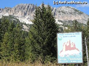 [P11]  -- <small>// FĂRĂ DESCRIERE</small> » foto by claudiu 71
 - 
<span class="allrVoted glyphicon glyphicon-heart hidden" id="av578652"></span>
<a class="m-l-10 hidden" id="sv578652" onclick="voting_Foto_DelVot(,578652,22492)" role="button">șterge vot <span class="glyphicon glyphicon-remove"></span></a>
<a id="v9578652" class=" c-red"  onclick="voting_Foto_SetVot(578652)" role="button"><span class="glyphicon glyphicon-heart-empty"></span> <b>LIKE</b> = Votează poza</a> <img class="hidden"  id="f578652W9" src="/imagini/loader.gif" border="0" /><span class="AjErrMes hidden" id="e578652ErM"></span>