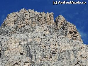 [P13]  -- <small>// FĂRĂ DESCRIERE</small> » foto by claudiu 71
 - 
<span class="allrVoted glyphicon glyphicon-heart hidden" id="av578659"></span>
<a class="m-l-10 hidden" id="sv578659" onclick="voting_Foto_DelVot(,578659,22492)" role="button">șterge vot <span class="glyphicon glyphicon-remove"></span></a>
<a id="v9578659" class=" c-red"  onclick="voting_Foto_SetVot(578659)" role="button"><span class="glyphicon glyphicon-heart-empty"></span> <b>LIKE</b> = Votează poza</a> <img class="hidden"  id="f578659W9" src="/imagini/loader.gif" border="0" /><span class="AjErrMes hidden" id="e578659ErM"></span>