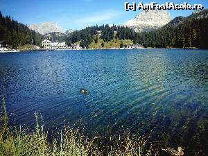 [P29]  -- <small>// FĂRĂ DESCRIERE</small> » foto by claudiu 71
 - 
<span class="allrVoted glyphicon glyphicon-heart hidden" id="av578696"></span>
<a class="m-l-10 hidden" id="sv578696" onclick="voting_Foto_DelVot(,578696,22492)" role="button">șterge vot <span class="glyphicon glyphicon-remove"></span></a>
<a id="v9578696" class=" c-red"  onclick="voting_Foto_SetVot(578696)" role="button"><span class="glyphicon glyphicon-heart-empty"></span> <b>LIKE</b> = Votează poza</a> <img class="hidden"  id="f578696W9" src="/imagini/loader.gif" border="0" /><span class="AjErrMes hidden" id="e578696ErM"></span>