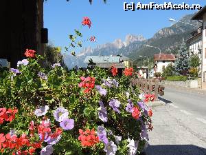 [P08]  -- <small>// FĂRĂ DESCRIERE</small> » foto by claudiu 71
 - 
<span class="allrVoted glyphicon glyphicon-heart hidden" id="av578644"></span>
<a class="m-l-10 hidden" id="sv578644" onclick="voting_Foto_DelVot(,578644,22492)" role="button">șterge vot <span class="glyphicon glyphicon-remove"></span></a>
<a id="v9578644" class=" c-red"  onclick="voting_Foto_SetVot(578644)" role="button"><span class="glyphicon glyphicon-heart-empty"></span> <b>LIKE</b> = Votează poza</a> <img class="hidden"  id="f578644W9" src="/imagini/loader.gif" border="0" /><span class="AjErrMes hidden" id="e578644ErM"></span>