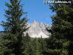 [P09]  -- <small>// FĂRĂ DESCRIERE</small> » foto by claudiu 71
 - 
<span class="allrVoted glyphicon glyphicon-heart hidden" id="av578645"></span>
<a class="m-l-10 hidden" id="sv578645" onclick="voting_Foto_DelVot(,578645,22492)" role="button">șterge vot <span class="glyphicon glyphicon-remove"></span></a>
<a id="v9578645" class=" c-red"  onclick="voting_Foto_SetVot(578645)" role="button"><span class="glyphicon glyphicon-heart-empty"></span> <b>LIKE</b> = Votează poza</a> <img class="hidden"  id="f578645W9" src="/imagini/loader.gif" border="0" /><span class="AjErrMes hidden" id="e578645ErM"></span>