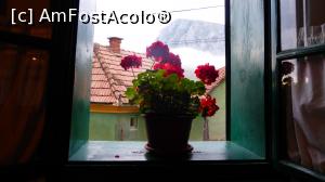 [P09] Fereastră cu mușcate în fereastra Casei Zabos. În depărtare se văd Colții Trascăului deasupra ceții de dimineață ce acoperă valea » foto by Lucien
 - 
<span class="allrVoted glyphicon glyphicon-heart hidden" id="av890408"></span>
<a class="m-l-10 hidden" id="sv890408" onclick="voting_Foto_DelVot(,890408,22515)" role="button">șterge vot <span class="glyphicon glyphicon-remove"></span></a>
<a id="v9890408" class=" c-red"  onclick="voting_Foto_SetVot(890408)" role="button"><span class="glyphicon glyphicon-heart-empty"></span> <b>LIKE</b> = Votează poza</a> <img class="hidden"  id="f890408W9" src="/imagini/loader.gif" border="0" /><span class="AjErrMes hidden" id="e890408ErM"></span>