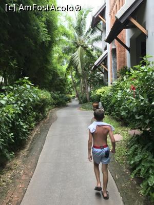 [P10] Superba alee » foto by A&N
 - 
<span class="allrVoted glyphicon glyphicon-heart hidden" id="av891308"></span>
<a class="m-l-10 hidden" id="sv891308" onclick="voting_Foto_DelVot(,891308,22532)" role="button">șterge vot <span class="glyphicon glyphicon-remove"></span></a>
<a id="v9891308" class=" c-red"  onclick="voting_Foto_SetVot(891308)" role="button"><span class="glyphicon glyphicon-heart-empty"></span> <b>LIKE</b> = Votează poza</a> <img class="hidden"  id="f891308W9" src="/imagini/loader.gif" border="0" /><span class="AjErrMes hidden" id="e891308ErM"></span>