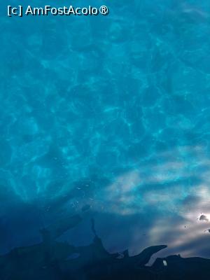 [P12] Sute de pestisori argintii inconjurau barca » foto by raluca banu
 - 
<span class="allrVoted glyphicon glyphicon-heart hidden" id="av1502057"></span>
<a class="m-l-10 hidden" id="sv1502057" onclick="voting_Foto_DelVot(,1502057,22554)" role="button">șterge vot <span class="glyphicon glyphicon-remove"></span></a>
<a id="v91502057" class=" c-red"  onclick="voting_Foto_SetVot(1502057)" role="button"><span class="glyphicon glyphicon-heart-empty"></span> <b>LIKE</b> = Votează poza</a> <img class="hidden"  id="f1502057W9" src="/imagini/loader.gif" border="0" /><span class="AjErrMes hidden" id="e1502057ErM"></span>