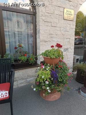 [P19] Detaliu de la intrarea în hotel » foto by laurand
 - 
<span class="allrVoted glyphicon glyphicon-heart hidden" id="av1507935"></span>
<a class="m-l-10 hidden" id="sv1507935" onclick="voting_Foto_DelVot(,1507935,22589)" role="button">șterge vot <span class="glyphicon glyphicon-remove"></span></a>
<a id="v91507935" class=" c-red"  onclick="voting_Foto_SetVot(1507935)" role="button"><span class="glyphicon glyphicon-heart-empty"></span> <b>LIKE</b> = Votează poza</a> <img class="hidden"  id="f1507935W9" src="/imagini/loader.gif" border="0" /><span class="AjErrMes hidden" id="e1507935ErM"></span>