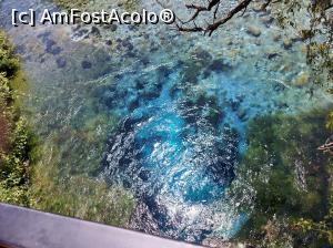 [P15] Blue Eye, izvor carstic » foto by raducondurache
 - 
<span class="allrVoted glyphicon glyphicon-heart hidden" id="av1302087"></span>
<a class="m-l-10 hidden" id="sv1302087" onclick="voting_Foto_DelVot(,1302087,22594)" role="button">șterge vot <span class="glyphicon glyphicon-remove"></span></a>
<a id="v91302087" class=" c-red"  onclick="voting_Foto_SetVot(1302087)" role="button"><span class="glyphicon glyphicon-heart-empty"></span> <b>LIKE</b> = Votează poza</a> <img class="hidden"  id="f1302087W9" src="/imagini/loader.gif" border="0" /><span class="AjErrMes hidden" id="e1302087ErM"></span>