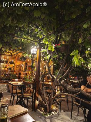 [P13] Bolta de vita-de-vie a restaurantului » foto by fredutza
 - 
<span class="allrVoted glyphicon glyphicon-heart hidden" id="av1499429"></span>
<a class="m-l-10 hidden" id="sv1499429" onclick="voting_Foto_DelVot(,1499429,22630)" role="button">șterge vot <span class="glyphicon glyphicon-remove"></span></a>
<a id="v91499429" class=" c-red"  onclick="voting_Foto_SetVot(1499429)" role="button"><span class="glyphicon glyphicon-heart-empty"></span> <b>LIKE</b> = Votează poza</a> <img class="hidden"  id="f1499429W9" src="/imagini/loader.gif" border="0" /><span class="AjErrMes hidden" id="e1499429ErM"></span>