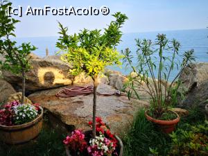 [P26] Cât așteptăm comanda, mai facem o poză, două » foto by crismis
 - 
<span class="allrVoted glyphicon glyphicon-heart hidden" id="av1090214"></span>
<a class="m-l-10 hidden" id="sv1090214" onclick="voting_Foto_DelVot(,1090214,22681)" role="button">șterge vot <span class="glyphicon glyphicon-remove"></span></a>
<a id="v91090214" class=" c-red"  onclick="voting_Foto_SetVot(1090214)" role="button"><span class="glyphicon glyphicon-heart-empty"></span> <b>LIKE</b> = Votează poza</a> <img class="hidden"  id="f1090214W9" src="/imagini/loader.gif" border="0" /><span class="AjErrMes hidden" id="e1090214ErM"></span>