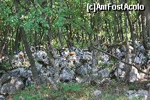[P14] Platoul Ciucar » foto by gregorio
 - 
<span class="allrVoted glyphicon glyphicon-heart hidden" id="av142829"></span>
<a class="m-l-10 hidden" id="sv142829" onclick="voting_Foto_DelVot(,142829,22691)" role="button">șterge vot <span class="glyphicon glyphicon-remove"></span></a>
<a id="v9142829" class=" c-red"  onclick="voting_Foto_SetVot(142829)" role="button"><span class="glyphicon glyphicon-heart-empty"></span> <b>LIKE</b> = Votează poza</a> <img class="hidden"  id="f142829W9" src="/imagini/loader.gif" border="0" /><span class="AjErrMes hidden" id="e142829ErM"></span>