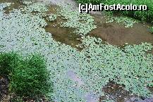 [P52] Drumul spre pestera Ponicova » foto by gregorio
 - 
<span class="allrVoted glyphicon glyphicon-heart hidden" id="av142991"></span>
<a class="m-l-10 hidden" id="sv142991" onclick="voting_Foto_DelVot(,142991,22691)" role="button">șterge vot <span class="glyphicon glyphicon-remove"></span></a>
<a id="v9142991" class=" c-red"  onclick="voting_Foto_SetVot(142991)" role="button"><span class="glyphicon glyphicon-heart-empty"></span> <b>LIKE</b> = Votează poza</a> <img class="hidden"  id="f142991W9" src="/imagini/loader.gif" border="0" /><span class="AjErrMes hidden" id="e142991ErM"></span>