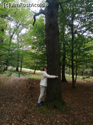 [P02] Sedinta de silvoterapie in padurea seculara de la Mociar » foto by dorgo
 - 
<span class="allrVoted glyphicon glyphicon-heart hidden" id="av1250769"></span>
<a class="m-l-10 hidden" id="sv1250769" onclick="voting_Foto_DelVot(,1250769,22705)" role="button">șterge vot <span class="glyphicon glyphicon-remove"></span></a>
<a id="v91250769" class=" c-red"  onclick="voting_Foto_SetVot(1250769)" role="button"><span class="glyphicon glyphicon-heart-empty"></span> <b>LIKE</b> = Votează poza</a> <img class="hidden"  id="f1250769W9" src="/imagini/loader.gif" border="0" /><span class="AjErrMes hidden" id="e1250769ErM"></span>