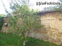 [P08] Zidul exterior al cetatii, astazi mai scund cu 5 metri decat in perioada asediilor barbare » foto by dorgo
 - 
<span class="allrVoted glyphicon glyphicon-heart hidden" id="av258473"></span>
<a class="m-l-10 hidden" id="sv258473" onclick="voting_Foto_DelVot(,258473,22724)" role="button">șterge vot <span class="glyphicon glyphicon-remove"></span></a>
<a id="v9258473" class=" c-red"  onclick="voting_Foto_SetVot(258473)" role="button"><span class="glyphicon glyphicon-heart-empty"></span> <b>LIKE</b> = Votează poza</a> <img class="hidden"  id="f258473W9" src="/imagini/loader.gif" border="0" /><span class="AjErrMes hidden" id="e258473ErM"></span>
