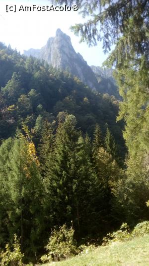 [P11] Jepii mari saluta cascadele spumoase.  » foto by senateo
 - 
<span class="allrVoted glyphicon glyphicon-heart hidden" id="av902795"></span>
<a class="m-l-10 hidden" id="sv902795" onclick="voting_Foto_DelVot(,902795,22761)" role="button">șterge vot <span class="glyphicon glyphicon-remove"></span></a>
<a id="v9902795" class=" c-red"  onclick="voting_Foto_SetVot(902795)" role="button"><span class="glyphicon glyphicon-heart-empty"></span> <b>LIKE</b> = Votează poza</a> <img class="hidden"  id="f902795W9" src="/imagini/loader.gif" border="0" /><span class="AjErrMes hidden" id="e902795ErM"></span>