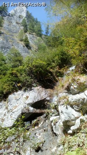 [P06] Frumusetea peisajelor montane.  » foto by senateo
 - 
<span class="allrVoted glyphicon glyphicon-heart hidden" id="av901976"></span>
<a class="m-l-10 hidden" id="sv901976" onclick="voting_Foto_DelVot(,901976,22761)" role="button">șterge vot <span class="glyphicon glyphicon-remove"></span></a>
<a id="v9901976" class=" c-red"  onclick="voting_Foto_SetVot(901976)" role="button"><span class="glyphicon glyphicon-heart-empty"></span> <b>LIKE</b> = Votează poza</a> <img class="hidden"  id="f901976W9" src="/imagini/loader.gif" border="0" /><span class="AjErrMes hidden" id="e901976ErM"></span>