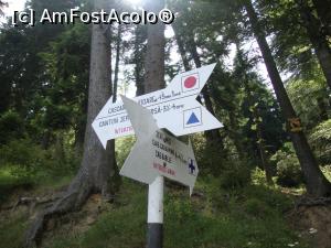 [P26] Indicatoare către traseele turistice din zonă.  » foto by Floryn81
 - 
<span class="allrVoted glyphicon glyphicon-heart hidden" id="av871052"></span>
<a class="m-l-10 hidden" id="sv871052" onclick="voting_Foto_DelVot(,871052,22761)" role="button">șterge vot <span class="glyphicon glyphicon-remove"></span></a>
<a id="v9871052" class=" c-red"  onclick="voting_Foto_SetVot(871052)" role="button"><span class="glyphicon glyphicon-heart-empty"></span> <b>LIKE</b> = Votează poza</a> <img class="hidden"  id="f871052W9" src="/imagini/loader.gif" border="0" /><span class="AjErrMes hidden" id="e871052ErM"></span>