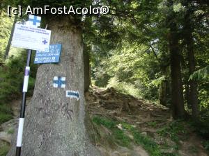 [P05] Acesta este traseul pe care l-am urmat aproximativ un sfert de oră. După aceea, potecile se despart.  » foto by Floryn81
 - 
<span class="allrVoted glyphicon glyphicon-heart hidden" id="av871031"></span>
<a class="m-l-10 hidden" id="sv871031" onclick="voting_Foto_DelVot(,871031,22761)" role="button">șterge vot <span class="glyphicon glyphicon-remove"></span></a>
<a id="v9871031" class=" c-red"  onclick="voting_Foto_SetVot(871031)" role="button"><span class="glyphicon glyphicon-heart-empty"></span> <b>LIKE</b> = Votează poza</a> <img class="hidden"  id="f871031W9" src="/imagini/loader.gif" border="0" /><span class="AjErrMes hidden" id="e871031ErM"></span>