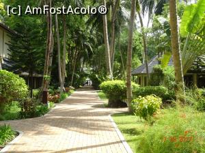 [P10] Către cealaltă parte a insulei » foto by marian 1973
 - 
<span class="allrVoted glyphicon glyphicon-heart hidden" id="av902104"></span>
<a class="m-l-10 hidden" id="sv902104" onclick="voting_Foto_DelVot(,902104,22762)" role="button">șterge vot <span class="glyphicon glyphicon-remove"></span></a>
<a id="v9902104" class=" c-red"  onclick="voting_Foto_SetVot(902104)" role="button"><span class="glyphicon glyphicon-heart-empty"></span> <b>LIKE</b> = Votează poza</a> <img class="hidden"  id="f902104W9" src="/imagini/loader.gif" border="0" /><span class="AjErrMes hidden" id="e902104ErM"></span>