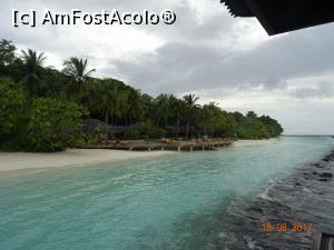 [P17] Piscina văzută de pe debarcader » foto by marian 1973
 - 
<span class="allrVoted glyphicon glyphicon-heart hidden" id="av902111"></span>
<a class="m-l-10 hidden" id="sv902111" onclick="voting_Foto_DelVot(,902111,22762)" role="button">șterge vot <span class="glyphicon glyphicon-remove"></span></a>
<a id="v9902111" class=" c-red"  onclick="voting_Foto_SetVot(902111)" role="button"><span class="glyphicon glyphicon-heart-empty"></span> <b>LIKE</b> = Votează poza</a> <img class="hidden"  id="f902111W9" src="/imagini/loader.gif" border="0" /><span class="AjErrMes hidden" id="e902111ErM"></span>