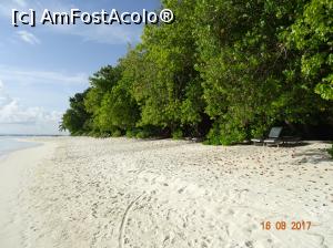 [P23] Lumini și umbre » foto by marian 1973
 - 
<span class="allrVoted glyphicon glyphicon-heart hidden" id="av902117"></span>
<a class="m-l-10 hidden" id="sv902117" onclick="voting_Foto_DelVot(,902117,22762)" role="button">șterge vot <span class="glyphicon glyphicon-remove"></span></a>
<a id="v9902117" class=" c-red"  onclick="voting_Foto_SetVot(902117)" role="button"><span class="glyphicon glyphicon-heart-empty"></span> <b>LIKE</b> = Votează poza</a> <img class="hidden"  id="f902117W9" src="/imagini/loader.gif" border="0" /><span class="AjErrMes hidden" id="e902117ErM"></span>