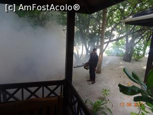 [P31] Dezinsecția săptămânală » foto by marian 1973
 - 
<span class="allrVoted glyphicon glyphicon-heart hidden" id="av902125"></span>
<a class="m-l-10 hidden" id="sv902125" onclick="voting_Foto_DelVot(,902125,22762)" role="button">șterge vot <span class="glyphicon glyphicon-remove"></span></a>
<a id="v9902125" class=" c-red"  onclick="voting_Foto_SetVot(902125)" role="button"><span class="glyphicon glyphicon-heart-empty"></span> <b>LIKE</b> = Votează poza</a> <img class="hidden"  id="f902125W9" src="/imagini/loader.gif" border="0" /><span class="AjErrMes hidden" id="e902125ErM"></span>