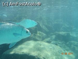 [P33] Cărășei » foto by marian 1973
 - 
<span class="allrVoted glyphicon glyphicon-heart hidden" id="av902127"></span>
<a class="m-l-10 hidden" id="sv902127" onclick="voting_Foto_DelVot(,902127,22762)" role="button">șterge vot <span class="glyphicon glyphicon-remove"></span></a>
<a id="v9902127" class=" c-red"  onclick="voting_Foto_SetVot(902127)" role="button"><span class="glyphicon glyphicon-heart-empty"></span> <b>LIKE</b> = Votează poza</a> <img class="hidden"  id="f902127W9" src="/imagini/loader.gif" border="0" /><span class="AjErrMes hidden" id="e902127ErM"></span>