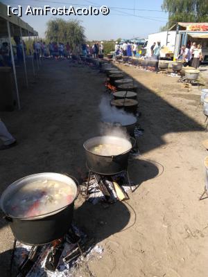 [P05] La serbarea borșului pescăresc-Jurilovca » foto by eklor
 - 
<span class="allrVoted glyphicon glyphicon-heart hidden" id="av902190"></span>
<a class="m-l-10 hidden" id="sv902190" onclick="voting_Foto_DelVot(,902190,22763)" role="button">șterge vot <span class="glyphicon glyphicon-remove"></span></a>
<a id="v9902190" class=" c-red"  onclick="voting_Foto_SetVot(902190)" role="button"><span class="glyphicon glyphicon-heart-empty"></span> <b>LIKE</b> = Votează poza</a> <img class="hidden"  id="f902190W9" src="/imagini/loader.gif" border="0" /><span class="AjErrMes hidden" id="e902190ErM"></span>