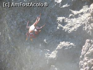 [P16] Garachico - Piscinele naturale “El Caletón”. » foto by iulianic
 - 
<span class="allrVoted glyphicon glyphicon-heart hidden" id="av1438638"></span>
<a class="m-l-10 hidden" id="sv1438638" onclick="voting_Foto_DelVot(,1438638,22792)" role="button">șterge vot <span class="glyphicon glyphicon-remove"></span></a>
<a id="v91438638" class=" c-red"  onclick="voting_Foto_SetVot(1438638)" role="button"><span class="glyphicon glyphicon-heart-empty"></span> <b>LIKE</b> = Votează poza</a> <img class="hidden"  id="f1438638W9" src="/imagini/loader.gif" border="0" /><span class="AjErrMes hidden" id="e1438638ErM"></span>
