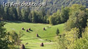[P25] Peisaj din zonă » foto by costy69*
 - 
<span class="allrVoted glyphicon glyphicon-heart hidden" id="av909808"></span>
<a class="m-l-10 hidden" id="sv909808" onclick="voting_Foto_DelVot(,909808,22837)" role="button">șterge vot <span class="glyphicon glyphicon-remove"></span></a>
<a id="v9909808" class=" c-red"  onclick="voting_Foto_SetVot(909808)" role="button"><span class="glyphicon glyphicon-heart-empty"></span> <b>LIKE</b> = Votează poza</a> <img class="hidden"  id="f909808W9" src="/imagini/loader.gif" border="0" /><span class="AjErrMes hidden" id="e909808ErM"></span>
