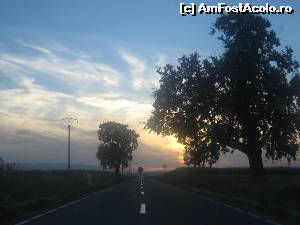 [P05] Drumul 'dintre vii', Haret-Panciu, are 8 Km si e excelent » foto by dorgo
 - 
<span class="allrVoted glyphicon glyphicon-heart hidden" id="av559901"></span>
<a class="m-l-10 hidden" id="sv559901" onclick="voting_Foto_DelVot(,559901,22874)" role="button">șterge vot <span class="glyphicon glyphicon-remove"></span></a>
<a id="v9559901" class=" c-red"  onclick="voting_Foto_SetVot(559901)" role="button"><span class="glyphicon glyphicon-heart-empty"></span> <b>LIKE</b> = Votează poza</a> <img class="hidden"  id="f559901W9" src="/imagini/loader.gif" border="0" /><span class="AjErrMes hidden" id="e559901ErM"></span>