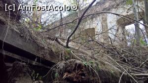 [P40]  -- <small>// FĂRĂ DESCRIERE</small> » foto by AZE
 - 
<span class="allrVoted glyphicon glyphicon-heart hidden" id="av1013426"></span>
<a class="m-l-10 hidden" id="sv1013426" onclick="voting_Foto_DelVot(,1013426,22908)" role="button">șterge vot <span class="glyphicon glyphicon-remove"></span></a>
<a id="v91013426" class=" c-red"  onclick="voting_Foto_SetVot(1013426)" role="button"><span class="glyphicon glyphicon-heart-empty"></span> <b>LIKE</b> = Votează poza</a> <img class="hidden"  id="f1013426W9" src="/imagini/loader.gif" border="0" /><span class="AjErrMes hidden" id="e1013426ErM"></span>