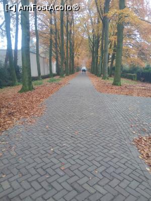 [P04] P. M. ROGMANSPARK » foto by maximus1976
 - 
<span class="allrVoted glyphicon glyphicon-heart hidden" id="av1141710"></span>
<a class="m-l-10 hidden" id="sv1141710" onclick="voting_Foto_DelVot(,1141710,22918)" role="button">șterge vot <span class="glyphicon glyphicon-remove"></span></a>
<a id="v91141710" class=" c-red"  onclick="voting_Foto_SetVot(1141710)" role="button"><span class="glyphicon glyphicon-heart-empty"></span> <b>LIKE</b> = Votează poza</a> <img class="hidden"  id="f1141710W9" src="/imagini/loader.gif" border="0" /><span class="AjErrMes hidden" id="e1141710ErM"></span>