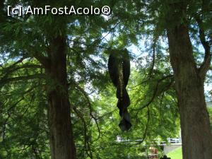 [P18] O bucată de cauciuc spânzurată în copacii bătrăni -e operă de artă » foto by mireille
 - 
<span class="allrVoted glyphicon glyphicon-heart hidden" id="av916582"></span>
<a class="m-l-10 hidden" id="sv916582" onclick="voting_Foto_DelVot(,916582,22918)" role="button">șterge vot <span class="glyphicon glyphicon-remove"></span></a>
<a id="v9916582" class=" c-red"  onclick="voting_Foto_SetVot(916582)" role="button"><span class="glyphicon glyphicon-heart-empty"></span> <b>LIKE</b> = Votează poza</a> <img class="hidden"  id="f916582W9" src="/imagini/loader.gif" border="0" /><span class="AjErrMes hidden" id="e916582ErM"></span>