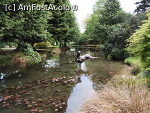 [P38]  -- <small>// FĂRĂ DESCRIERE</small> » foto by Marius 72
 - 
<span class="allrVoted glyphicon glyphicon-heart hidden" id="av1470497"></span>
<a class="m-l-10 hidden" id="sv1470497" onclick="voting_Foto_DelVot(,1470497,22922)" role="button">șterge vot <span class="glyphicon glyphicon-remove"></span></a>
<a id="v91470497" class=" c-red"  onclick="voting_Foto_SetVot(1470497)" role="button"><span class="glyphicon glyphicon-heart-empty"></span> <b>LIKE</b> = Votează poza</a> <img class="hidden"  id="f1470497W9" src="/imagini/loader.gif" border="0" /><span class="AjErrMes hidden" id="e1470497ErM"></span>