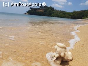 [P31]  -- <small>// FĂRĂ DESCRIERE</small> » foto by Kyandra
 - 
<span class="allrVoted glyphicon glyphicon-heart hidden" id="av916535"></span>
<a class="m-l-10 hidden" id="sv916535" onclick="voting_Foto_DelVot(,916535,22936)" role="button">șterge vot <span class="glyphicon glyphicon-remove"></span></a>
<a id="v9916535" class=" c-red"  onclick="voting_Foto_SetVot(916535)" role="button"><span class="glyphicon glyphicon-heart-empty"></span> <b>LIKE</b> = Votează poza</a> <img class="hidden"  id="f916535W9" src="/imagini/loader.gif" border="0" /><span class="AjErrMes hidden" id="e916535ErM"></span>