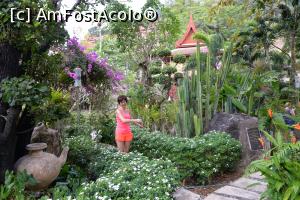 [P07]  -- <small>// FĂRĂ DESCRIERE</small> » foto by Kyandra
 - 
<span class="allrVoted glyphicon glyphicon-heart hidden" id="av916496"></span>
<a class="m-l-10 hidden" id="sv916496" onclick="voting_Foto_DelVot(,916496,22936)" role="button">șterge vot <span class="glyphicon glyphicon-remove"></span></a>
<a id="v9916496" class=" c-red"  onclick="voting_Foto_SetVot(916496)" role="button"><span class="glyphicon glyphicon-heart-empty"></span> <b>LIKE</b> = Votează poza</a> <img class="hidden"  id="f916496W9" src="/imagini/loader.gif" border="0" /><span class="AjErrMes hidden" id="e916496ErM"></span>