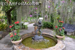 [P08]  -- <small>// FĂRĂ DESCRIERE</small> » foto by Kyandra
 - 
<span class="allrVoted glyphicon glyphicon-heart hidden" id="av916497"></span>
<a class="m-l-10 hidden" id="sv916497" onclick="voting_Foto_DelVot(,916497,22936)" role="button">șterge vot <span class="glyphicon glyphicon-remove"></span></a>
<a id="v9916497" class=" c-red"  onclick="voting_Foto_SetVot(916497)" role="button"><span class="glyphicon glyphicon-heart-empty"></span> <b>LIKE</b> = Votează poza</a> <img class="hidden"  id="f916497W9" src="/imagini/loader.gif" border="0" /><span class="AjErrMes hidden" id="e916497ErM"></span>