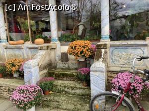 [P16] aranjament la iesire cu dovleci si crizanteme » foto by aurora56
 - 
<span class="allrVoted glyphicon glyphicon-heart hidden" id="av1397185"></span>
<a class="m-l-10 hidden" id="sv1397185" onclick="voting_Foto_DelVot(,1397185,22969)" role="button">șterge vot <span class="glyphicon glyphicon-remove"></span></a>
<a id="v91397185" class=" c-red"  onclick="voting_Foto_SetVot(1397185)" role="button"><span class="glyphicon glyphicon-heart-empty"></span> <b>LIKE</b> = Votează poza</a> <img class="hidden"  id="f1397185W9" src="/imagini/loader.gif" border="0" /><span class="AjErrMes hidden" id="e1397185ErM"></span>