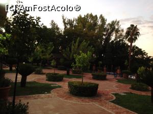 [P08] Gradina la orele diminetii.  » foto by rora
 - 
<span class="allrVoted glyphicon glyphicon-heart hidden" id="av919406"></span>
<a class="m-l-10 hidden" id="sv919406" onclick="voting_Foto_DelVot(,919406,23005)" role="button">șterge vot <span class="glyphicon glyphicon-remove"></span></a>
<a id="v9919406" class=" c-red"  onclick="voting_Foto_SetVot(919406)" role="button"><span class="glyphicon glyphicon-heart-empty"></span> <b>LIKE</b> = Votează poza</a> <img class="hidden"  id="f919406W9" src="/imagini/loader.gif" border="0" /><span class="AjErrMes hidden" id="e919406ErM"></span>
