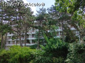 [P20] Argentina, Saturn, prin vecini, hotel Mureș » foto by Mioritik
 - 
<span class="allrVoted glyphicon glyphicon-heart hidden" id="av1292721"></span>
<a class="m-l-10 hidden" id="sv1292721" onclick="voting_Foto_DelVot(,1292721,23017)" role="button">șterge vot <span class="glyphicon glyphicon-remove"></span></a>
<a id="v91292721" class=" c-red"  onclick="voting_Foto_SetVot(1292721)" role="button"><span class="glyphicon glyphicon-heart-empty"></span> <b>LIKE</b> = Votează poza</a> <img class="hidden"  id="f1292721W9" src="/imagini/loader.gif" border="0" /><span class="AjErrMes hidden" id="e1292721ErM"></span>