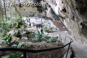 [P37] Mallorca, Cuevas dels Hams, Peștera Rotundă gazdă a unei Grădini Botanice, coborâm prin ea.... » foto by mprofeanu
 - 
<span class="allrVoted glyphicon glyphicon-heart hidden" id="av1304073"></span>
<a class="m-l-10 hidden" id="sv1304073" onclick="voting_Foto_DelVot(,1304073,23018)" role="button">șterge vot <span class="glyphicon glyphicon-remove"></span></a>
<a id="v91304073" class=" c-red"  onclick="voting_Foto_SetVot(1304073)" role="button"><span class="glyphicon glyphicon-heart-empty"></span> <b>LIKE</b> = Votează poza</a> <img class="hidden"  id="f1304073W9" src="/imagini/loader.gif" border="0" /><span class="AjErrMes hidden" id="e1304073ErM"></span>